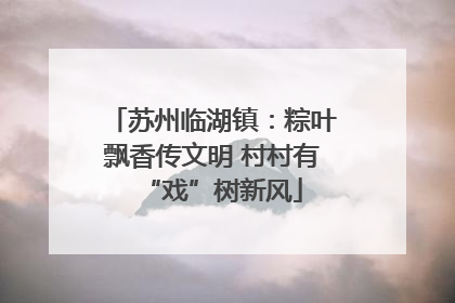 苏州临湖镇：粽叶飘香传文明 村村有“戏”树新风